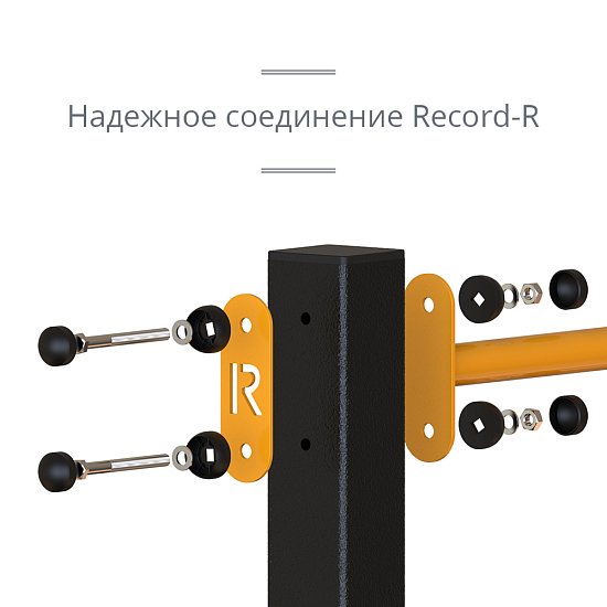 картинка Уличный турник двойной + шведская стенка Record RW-2 профиль 80х80 х 2 мм от магазина Лазалка